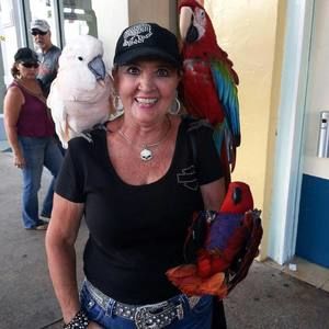 Meet your Posher, Cindy